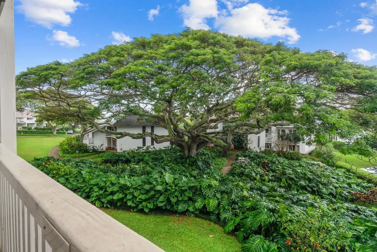 Step To Beach New Quiet Kiahuna Plantation Remodeled 2 Bedroom Condo With Ac Koloa
