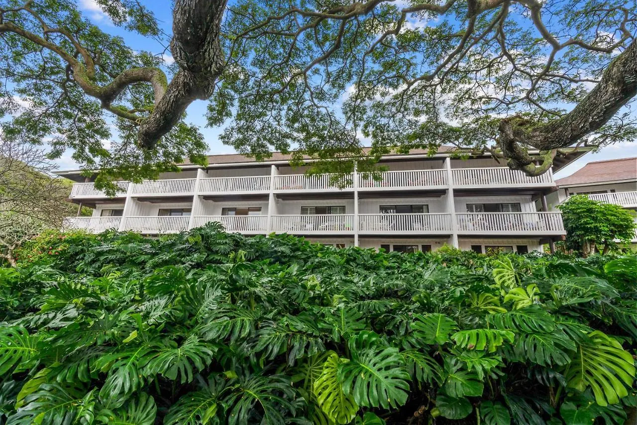 Koloa Step To Beach New Quiet Kiahuna Plantation Remodeled 2 Bedroom Condo With Ac